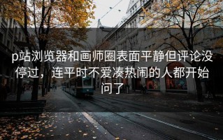 p站浏览器和画师圈表面平静但评论没停过，连平时不爱凑热闹的人都开始问了