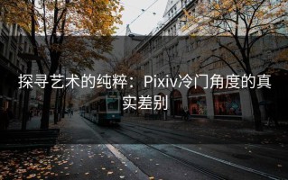 探寻艺术的纯粹：Pixiv冷门角度的真实差别