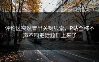 评论区突然冒出关键线索，P站全称不声不响把话题顶上来了