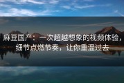 麻豆国产：一次超越想象的视频体验，细节点燃节奏，让你重温过去