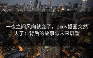一夜之间风向就变了，pixiv插画突然火了：背后的故事与未来展望