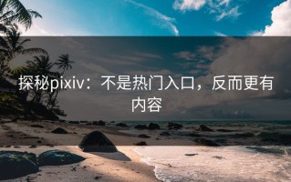 探秘pixiv：不是热门入口，反而更有内容
