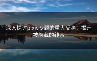 深入探讨pixiv专题的重大反响：揭开被隐藏的线索
