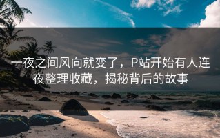 一夜之间风向就变了，P站开始有人连夜整理收藏，揭秘背后的故事