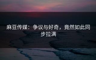 麻豆传媒：争议与好奇，竟然如此同步拉满