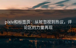 pixiv和标签页：从被忽视到热议，评论区的力量再现