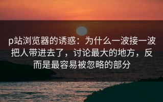 p站浏览器的诱惑：为什么一波接一波把人带进去了，讨论最大的地方，反而是最容易被忽略的部分