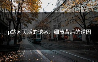 p站网页版的诱惑：细节背后的诱因