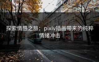 探索情感之旅：pixiv插画带来的纯粹情绪冲击