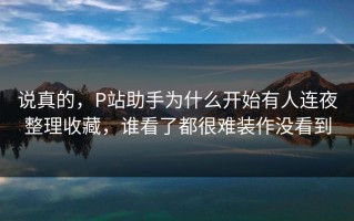 说真的，P站助手为什么开始有人连夜整理收藏，谁看了都很难装作没看到
