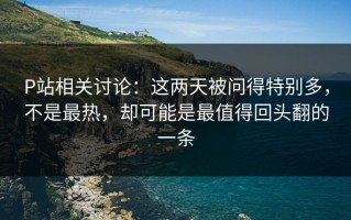 P站相关讨论：这两天被问得特别多，不是最热，却可能是最值得回头翻的一条