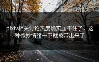pixiv相关讨论热度确实压不住了，这种微妙情绪一下就被带出来了