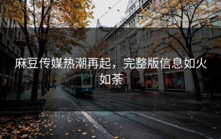 麻豆传媒热潮再起，完整版信息如火如荼