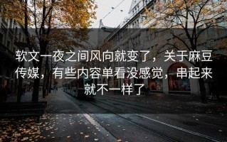 软文一夜之间风向就变了，关于麻豆传媒，有些内容单看没感觉，串起来就不一样了