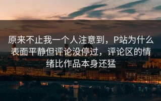 原来不止我一个人注意到，P站为什么表面平静但评论没停过，评论区的情绪比作品本身还猛
