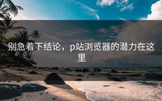 别急着下结论，p站浏览器的潜力在这里