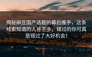 揭秘麻豆国产话题的幕后推手，这条线索知道的人并不多，错过的你可真是错过了大好机会！