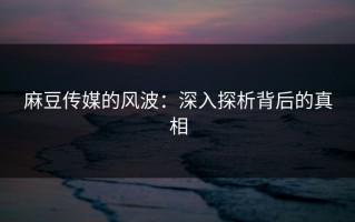 麻豆传媒的风波：深入探析背后的真相