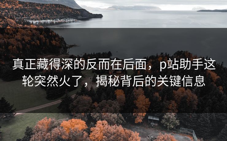 真正藏得深的反而在后面，p站助手这轮突然火了，揭秘背后的关键信息-第1张图片-p站助手短视频 - p站搬运工影视网