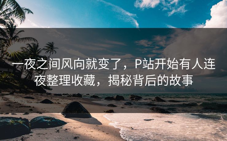 一夜之间风向就变了，P站开始有人连夜整理收藏，揭秘背后的故事-第1张图片-p站助手短视频 - p站搬运工影视网