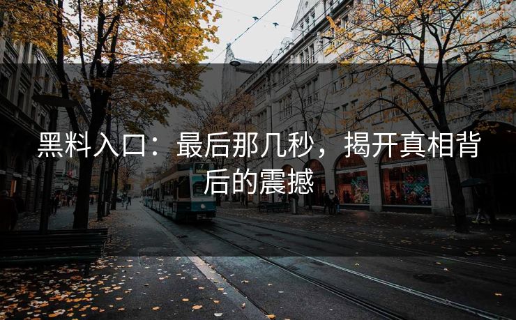 黑料入口：最后那几秒，揭开真相背后的震撼-第1张图片-p站助手短视频 - p站搬运工影视网